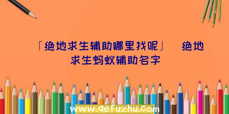 「绝地求生辅助哪里找呢」|绝地求生蚂蚁辅助名字